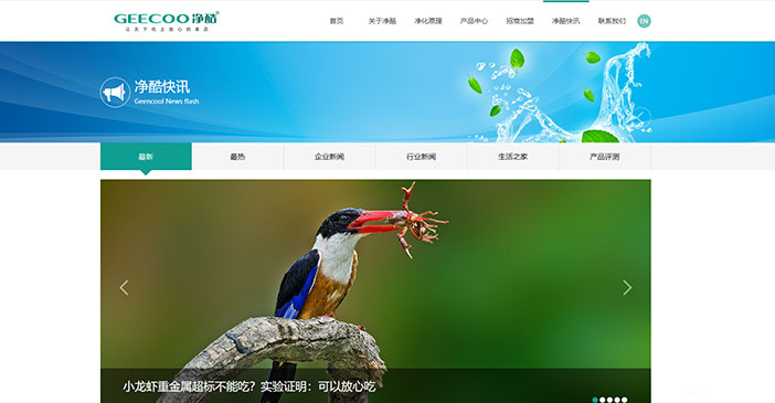 維度時(shí)空網(wǎng)站建設(shè)公司